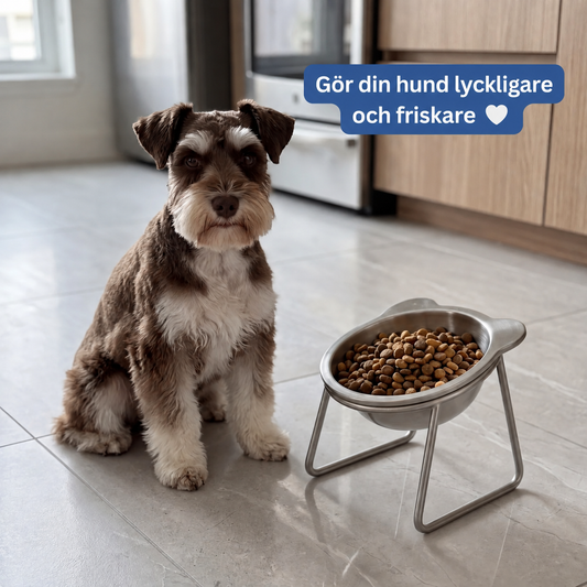 SkålStöd- Ortopedisk matskål